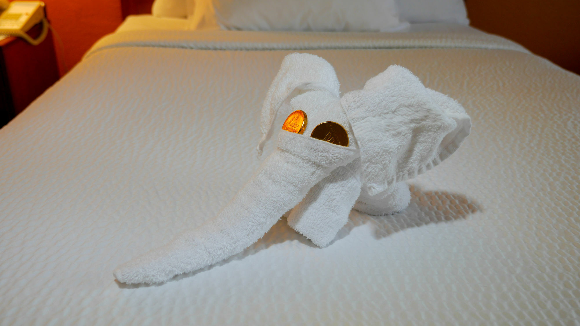 Quality Inn Fayetteville Near Fort Bragg Εξωτερικό φωτογραφία